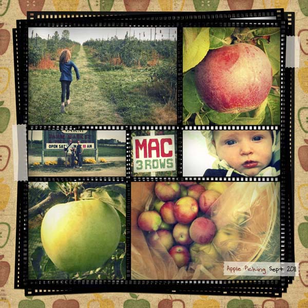 Apple Picking