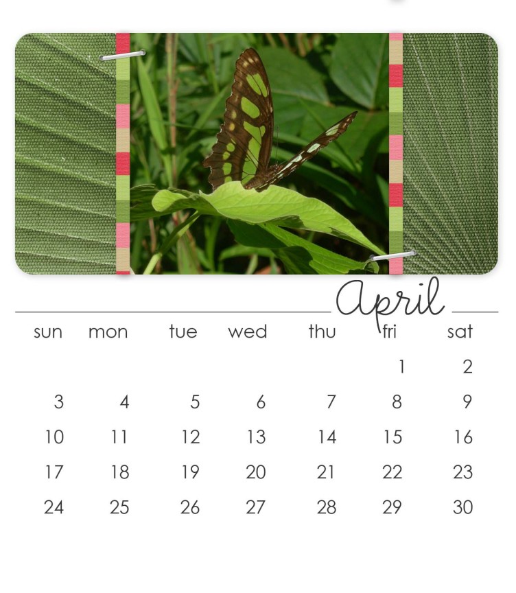 April 2011 CD Calendar