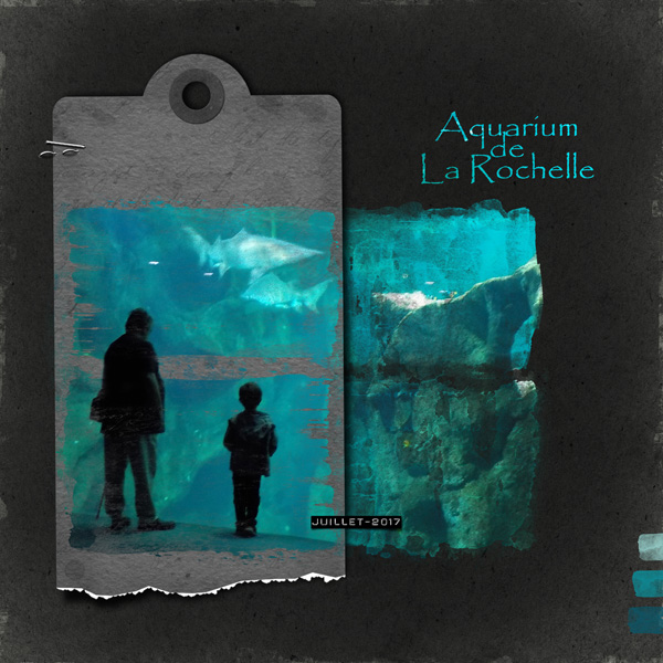 Aqaurium