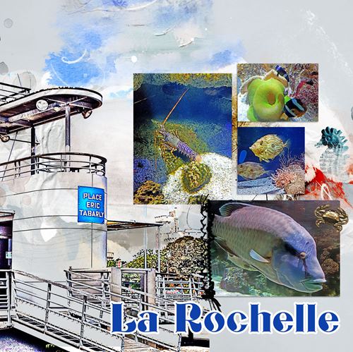 aquarium N 2