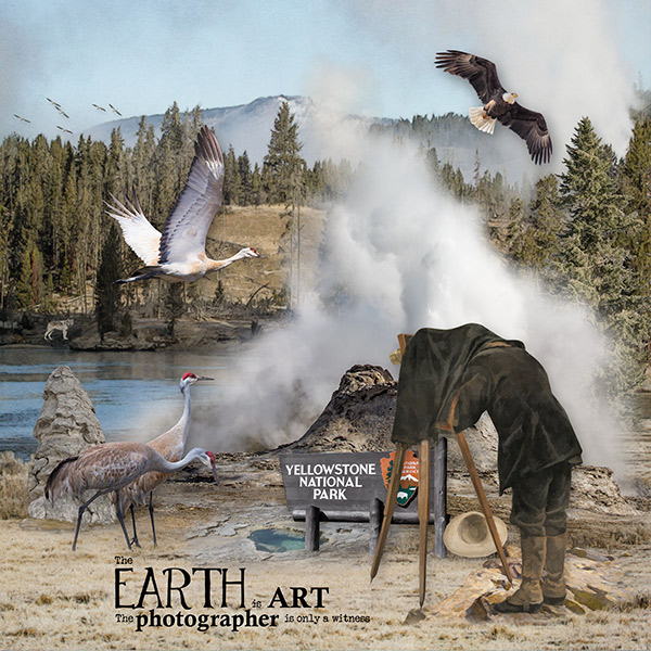 Art in Photography