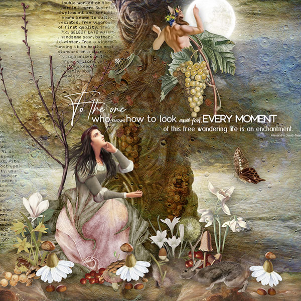 Art of Enchantment