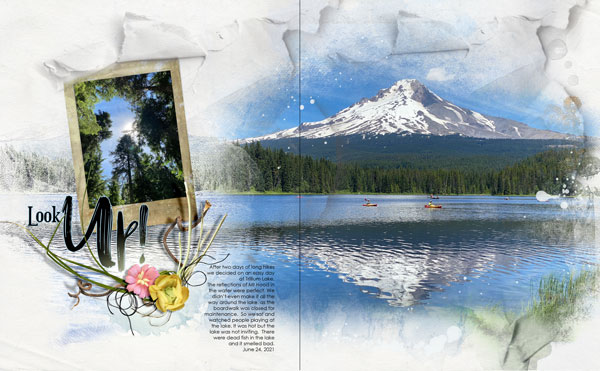 ArtPlay Alfresco Collection Trillium Lake