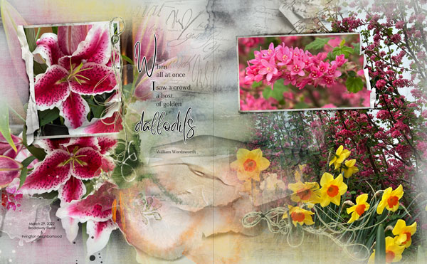 ArtPlay Wildflower Collection Artsy Transfers Neighborhood Flora