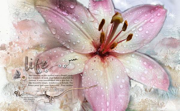 Artsale ArtPlay Evenfall Collection Lily