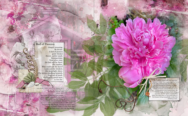 Artsale ArtPlay Rougir Collection Peonies