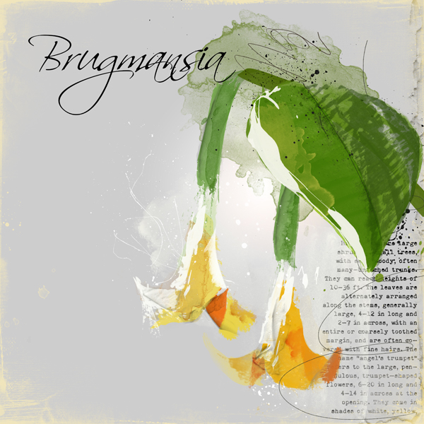 Artsy flower class -flower #2