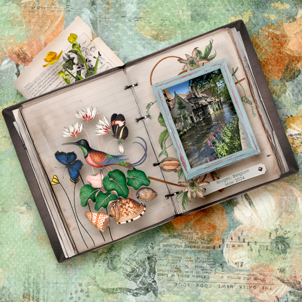 ARTventures-NaturesNotebook.jpg