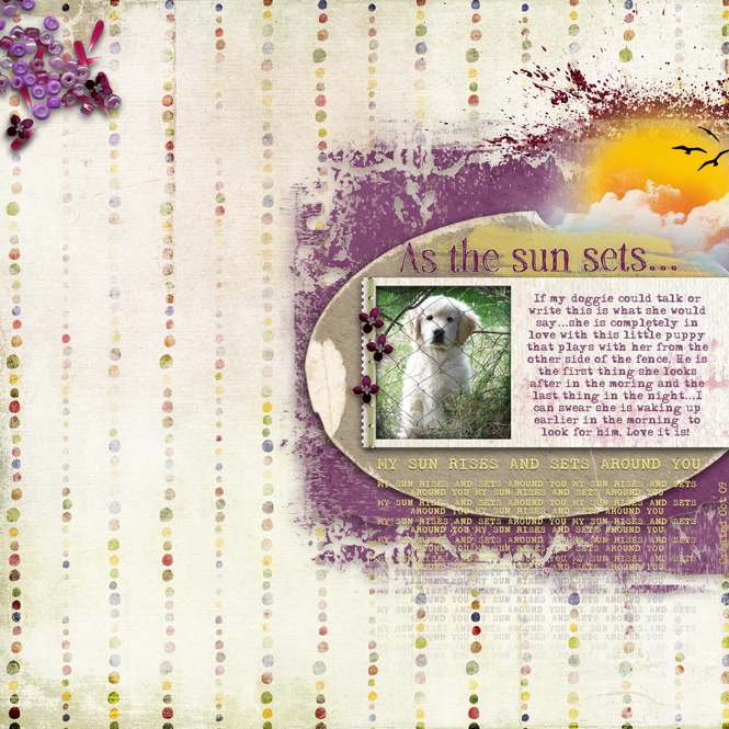 As the sun rises & sets