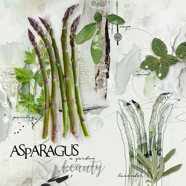 Asparagus