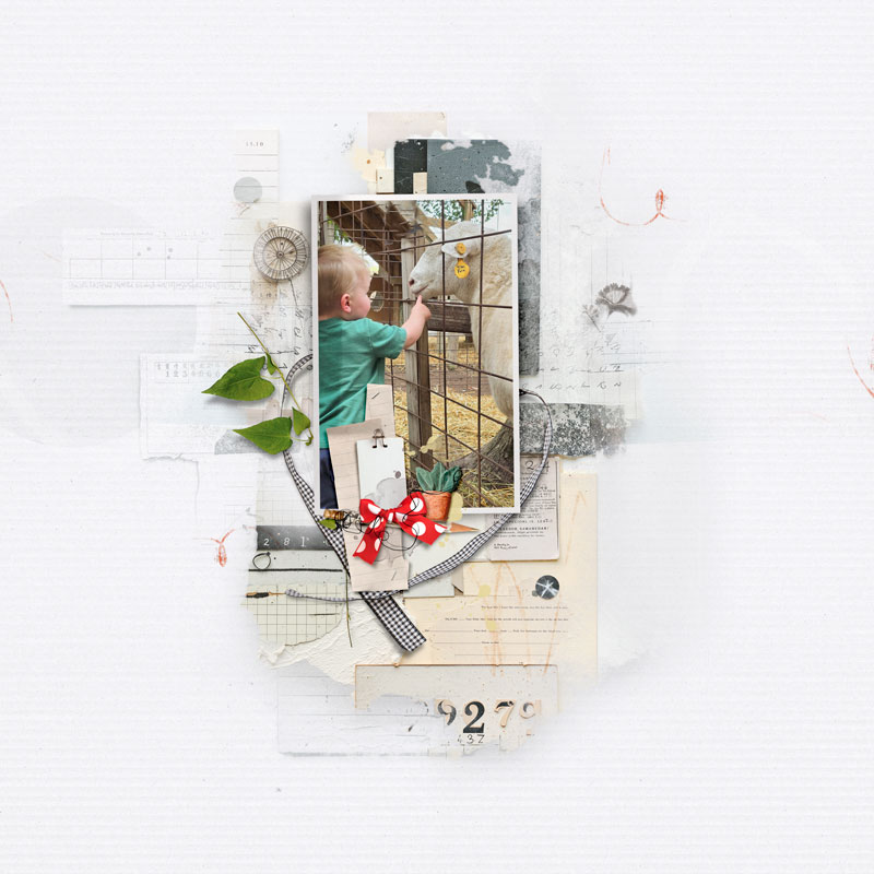 At the Amish Animal Farm