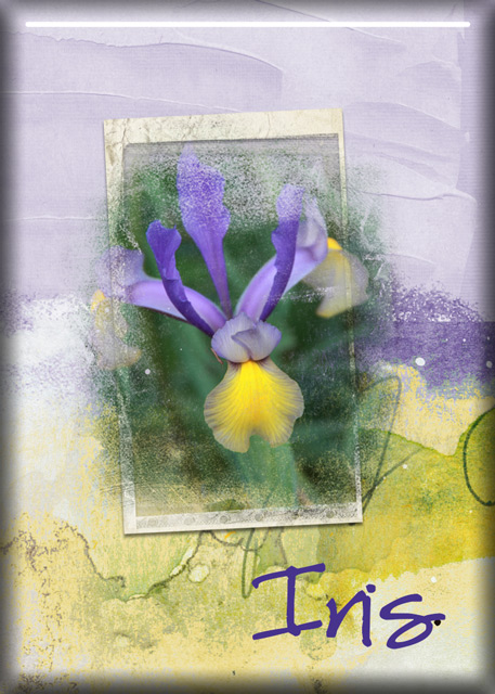 ATC 2016-52 Iris