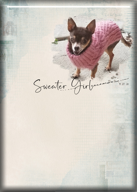 ATC 2020-160 Sweater Girl