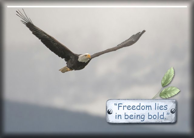 ATC-2025-067-Freedom