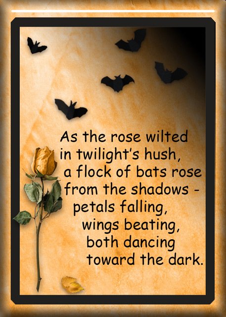 ATC-2025-101-As-the-Rose-Wilted