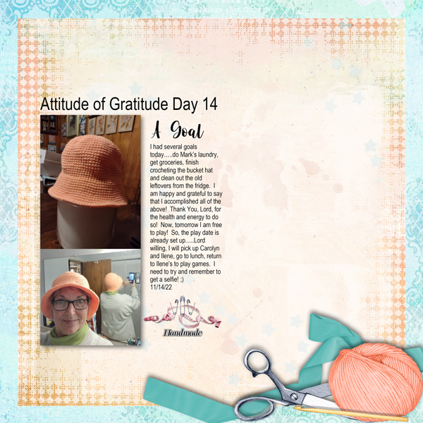 Attitude of Gratitude Day 14 - A Goal