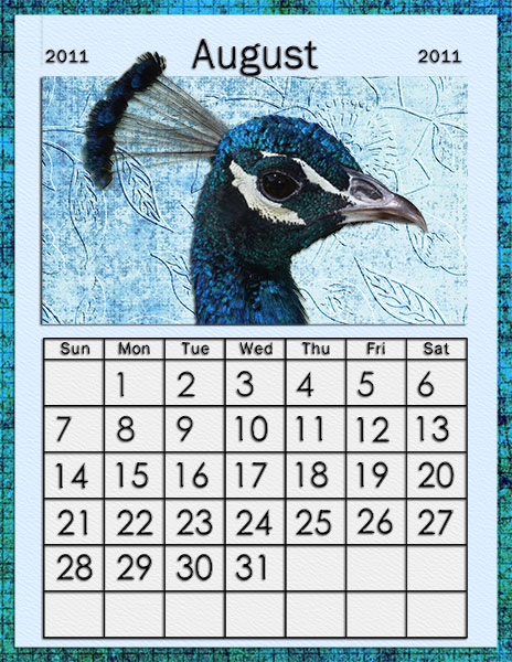 August 2011 Calendar