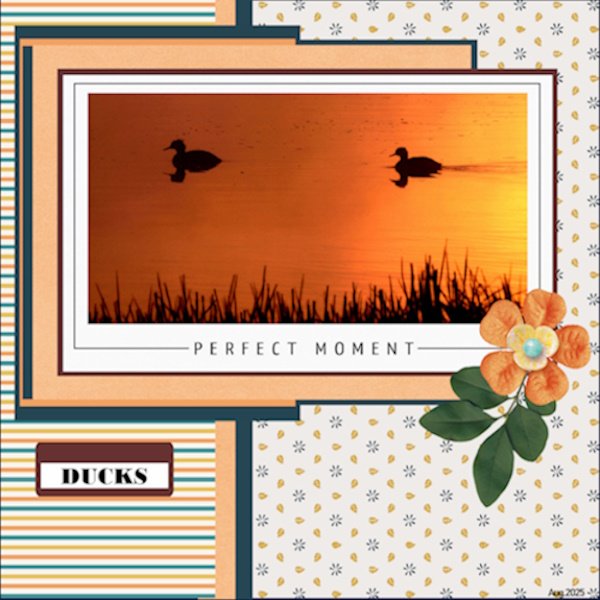 August 2025 Challenge #2 - Mood Board-DUCKS.jpg
