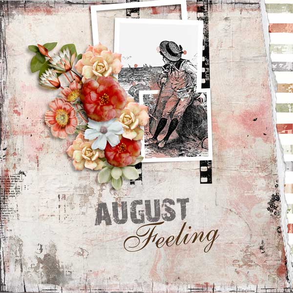 august-feeling-carol-w.jpg