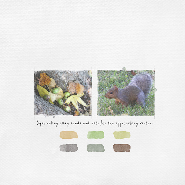 Autumn Color Challenge Squirreling