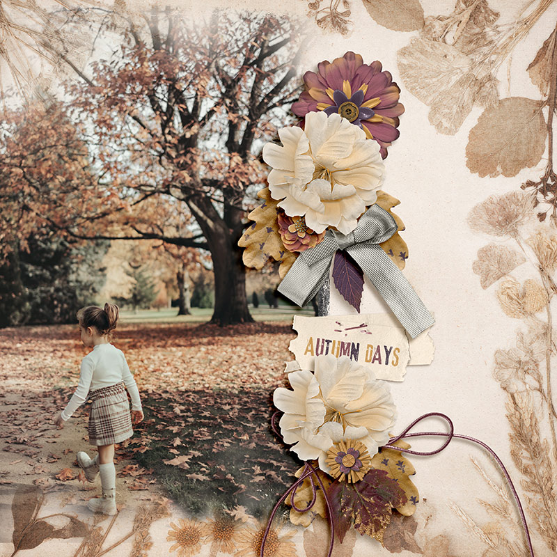Autumn Days