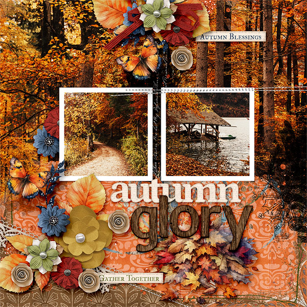 Autumn Glory