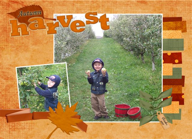 Autumn Harvest