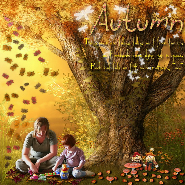 Autumn in forest