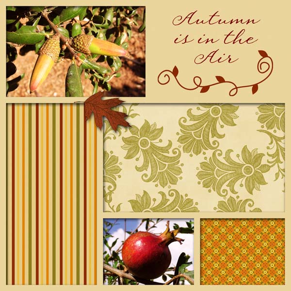 Autumn Is In The Air