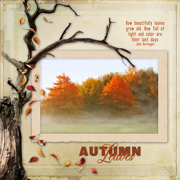 autumn leaves grow old