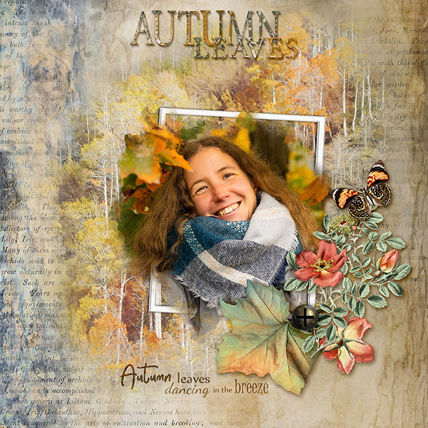 Autumn leaves