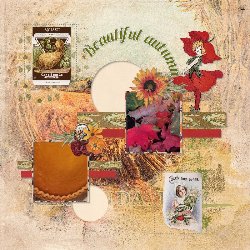 autumn memories.jpg