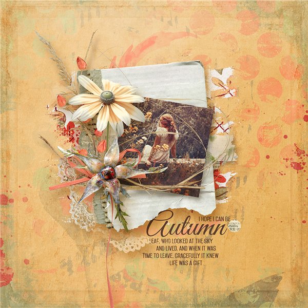 Autumn memories