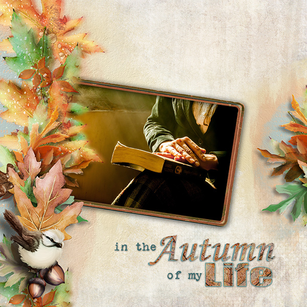Autumn of my Life