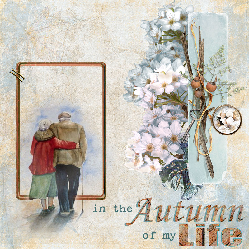 Autumn of our Life