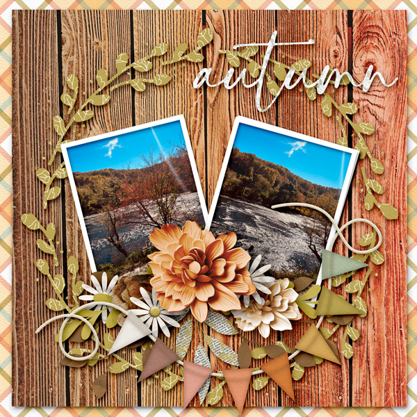 Autumn-Splendor