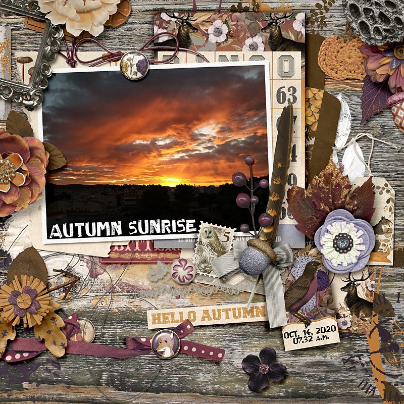 Autumn sunrise