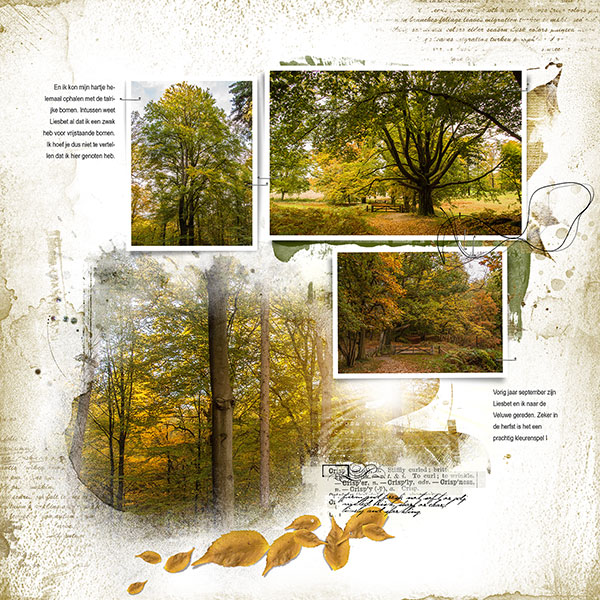 Autumn Template Album No. 1A