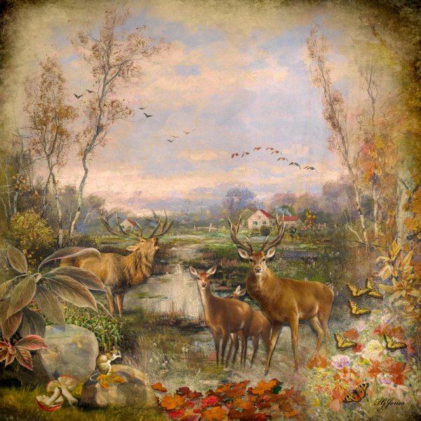 Autumn View