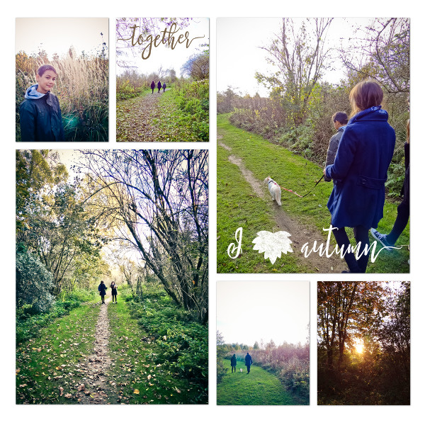 autumn walk