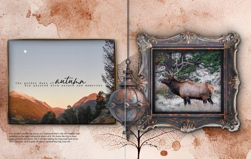 Autumn Warmth and Memories