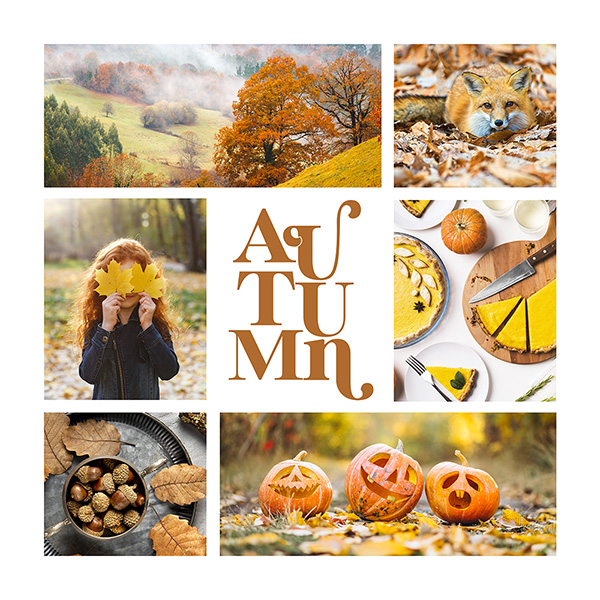 Autumn