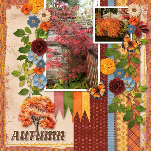 Autumn