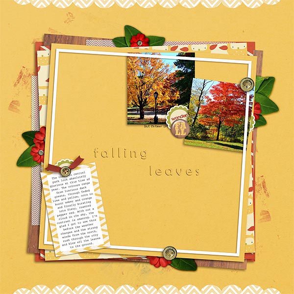 autumn_in_central_park