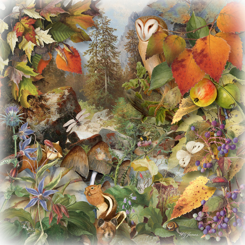 Autumnal Abundance