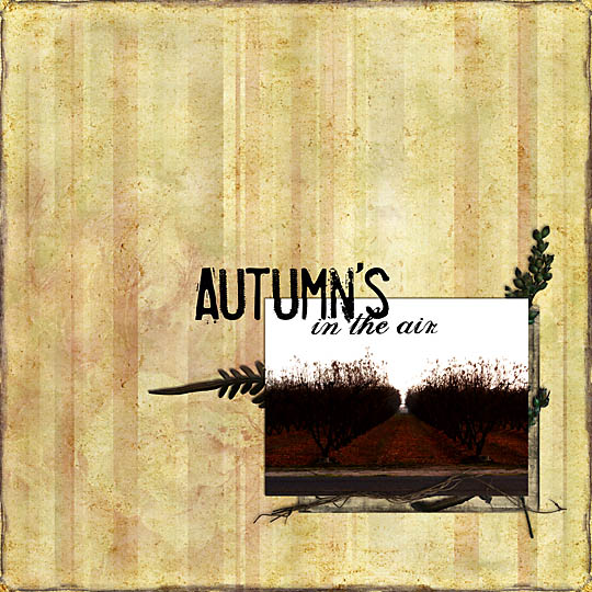 Autumn's in the Air