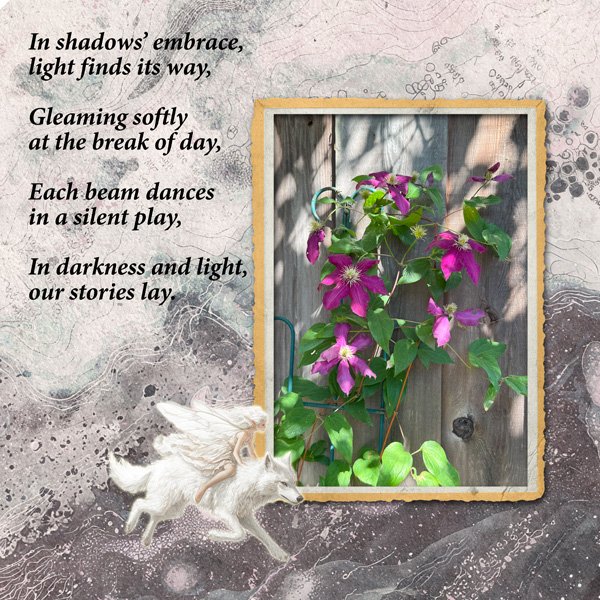AWA_JuneChallenge_LightandShadow_janisn.jpg