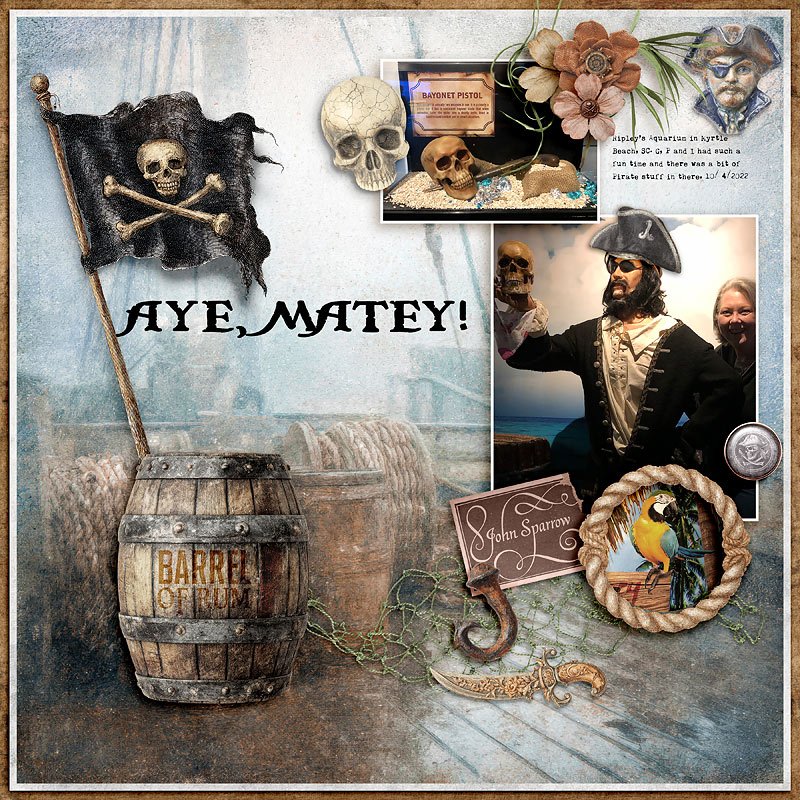 Aye, Matey!
