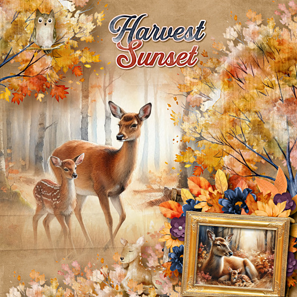 B57_HarvestSunsetByAimeeh600.jpg