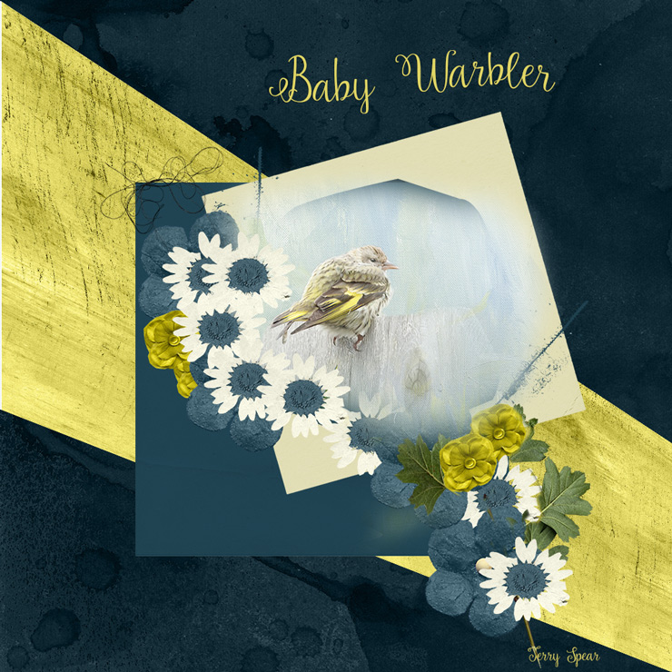 Baby-Warbler